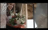422.gif