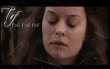 428.gif