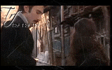 429.gif