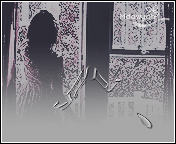 65.gif