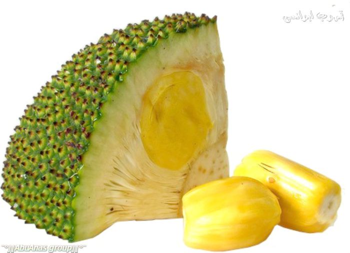 893.jpg