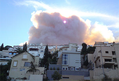 91.jpg