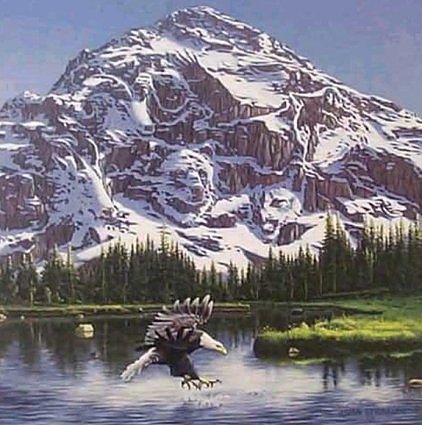 1159.jpg