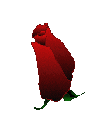 12.gif