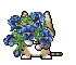 177.gif