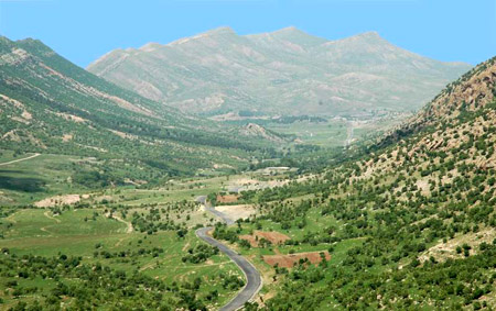 199.jpg