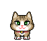 201.gif