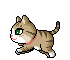 205.gif