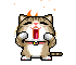 211.gif