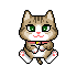 213.gif