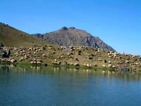 219.jpg