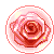 351.gif