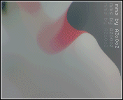 50.gif