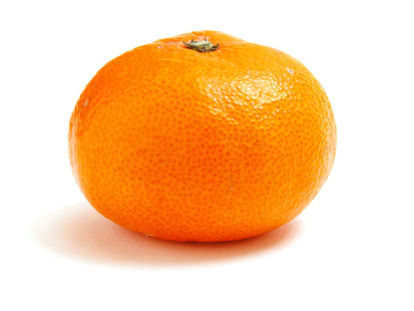 576.jpg