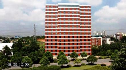 975.jpg