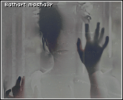 109.gif