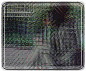 23.gif