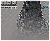 43.gif
