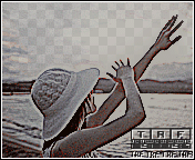 44.gif