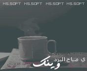 486.jpg