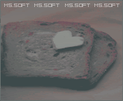 489.jpg