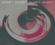 496.jpg