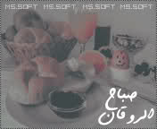 512.jpg