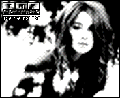 53.gif
