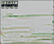 55.gif