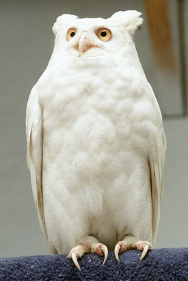128.png