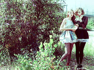 301.gif