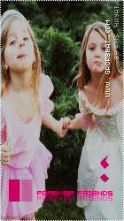 63.gif