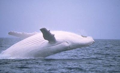 654.jpg