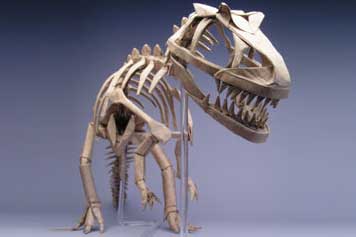 1061.jpg