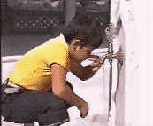 12.gif