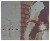 124.gif