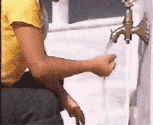 17.gif