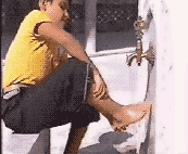 18.gif