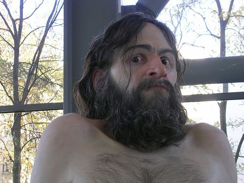 213.jpg