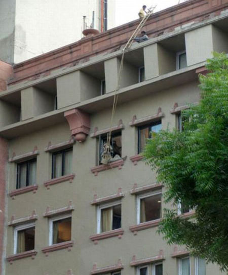 295.jpg