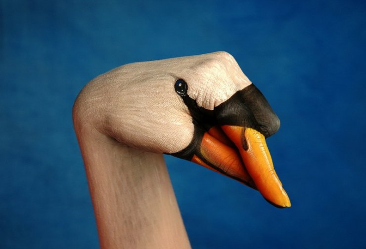 484.jpg