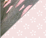 49.gif