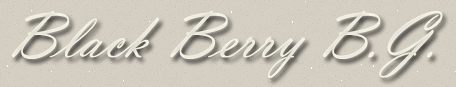 53.png