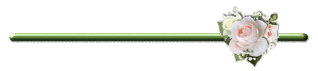 7.gif