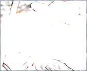 126.gif
