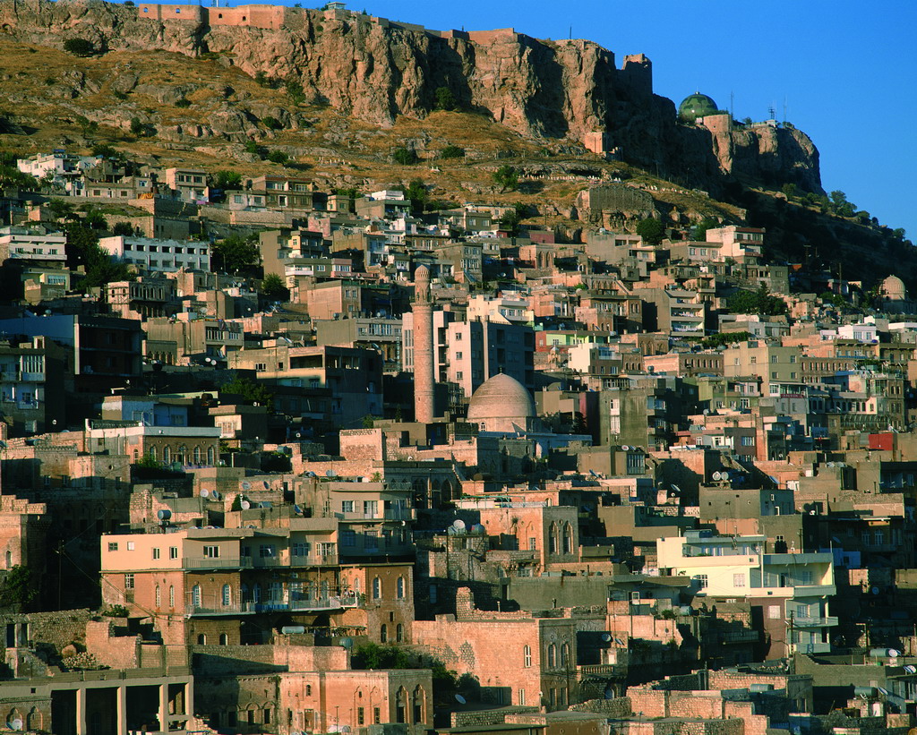 1335.jpg