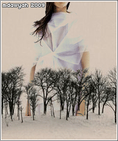 173.gif