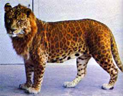 2002.jpg