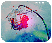 210.gif