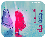 221.gif